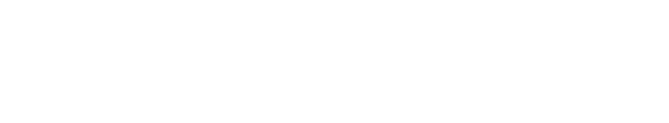 Scholavie