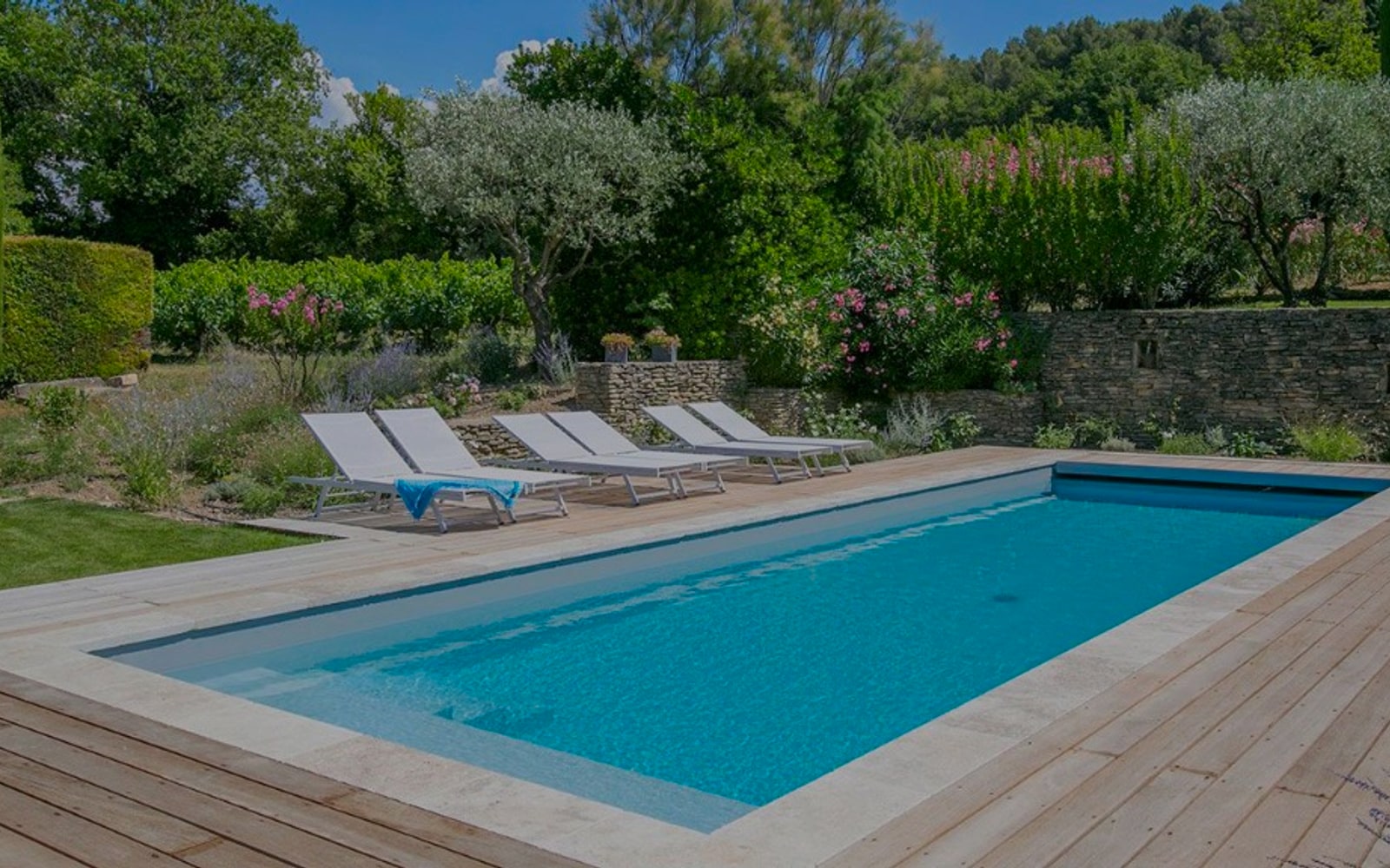 Piscine rectangulaire en Provence avec transats, terrasse en bois et oliviers en arrière-plan